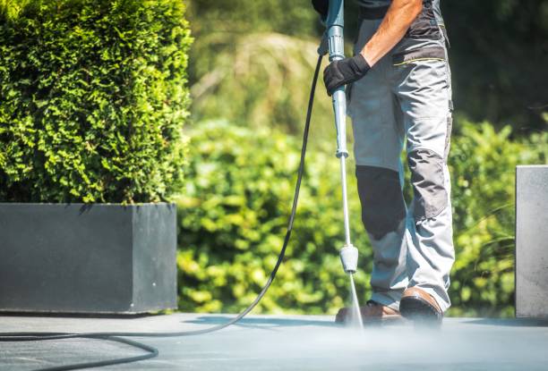 Best Fence Cleaning  in Travis Ranch, TX