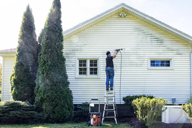Best House Exterior Washing  in Travis Ranch, TX